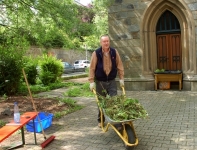 Kraeuterspirale 1903 unkraut